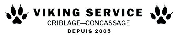 VIKING SERVICE